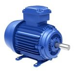 Industrial electric motor
